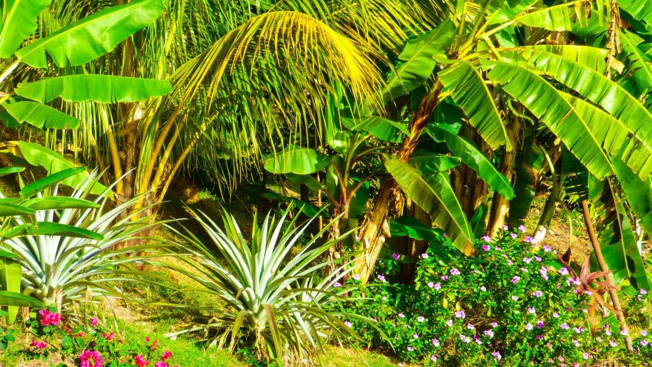 Mouggae Blues Villas Beau Vallon  Luaran gambar